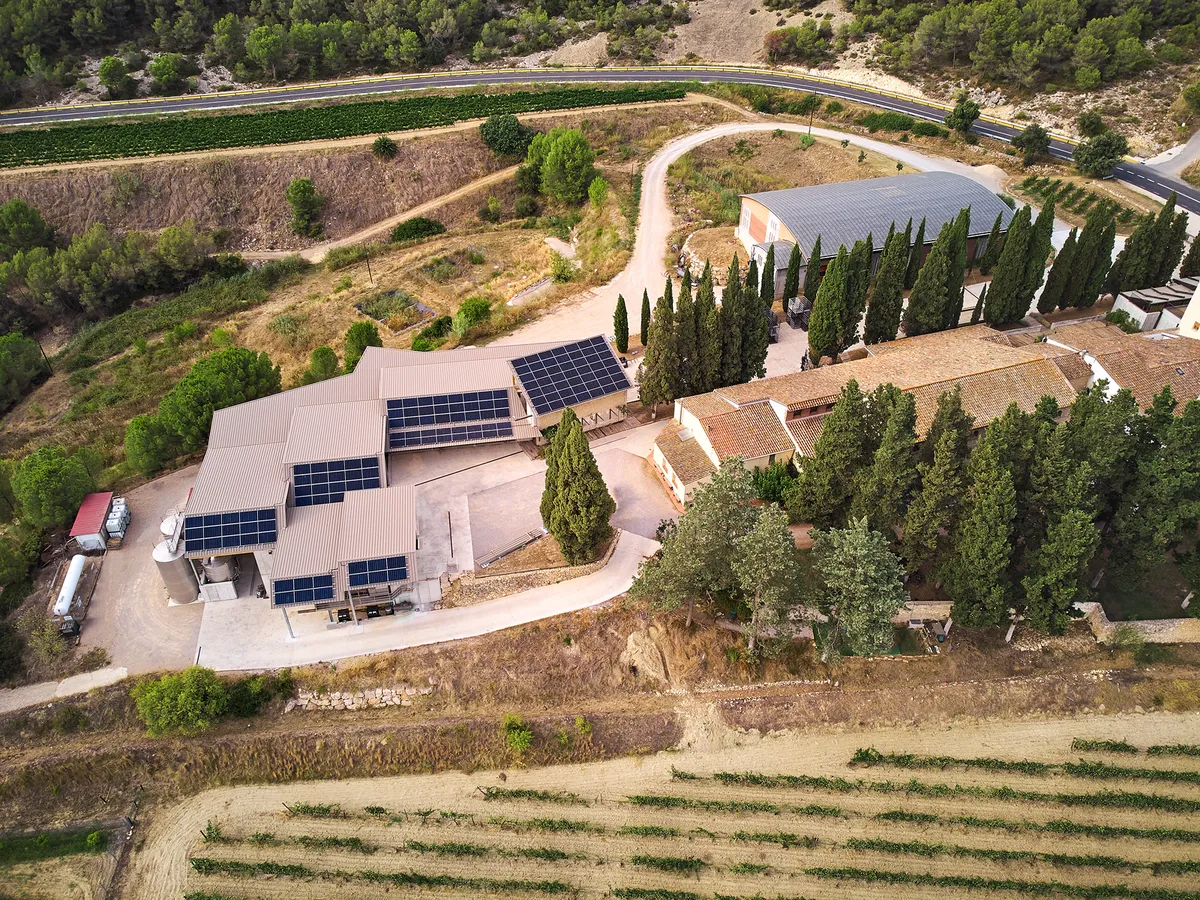 Celler de l’era.  Zona de recepció de raïm, premses i fermentació. La coberta disposa de 130 plaques solars que generen el 40% del consum del celler.