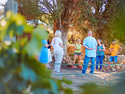 Visita a les vinyes