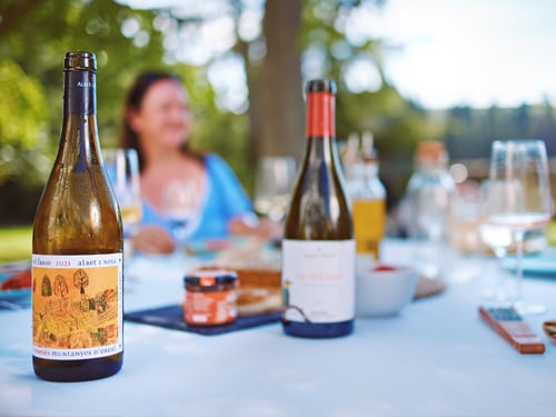 Visita a les vinyes