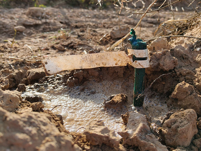 Albet i Noya planta el primer “Xarel·lo” resistent al Penedès